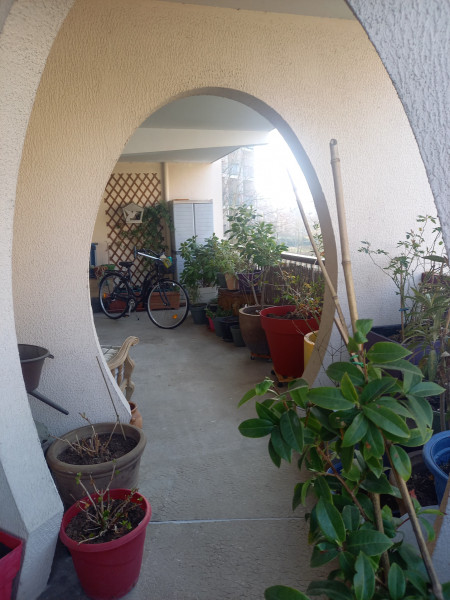 photo_9bc6d9c05eaffe3018b3fa13c6474bd0.jpg